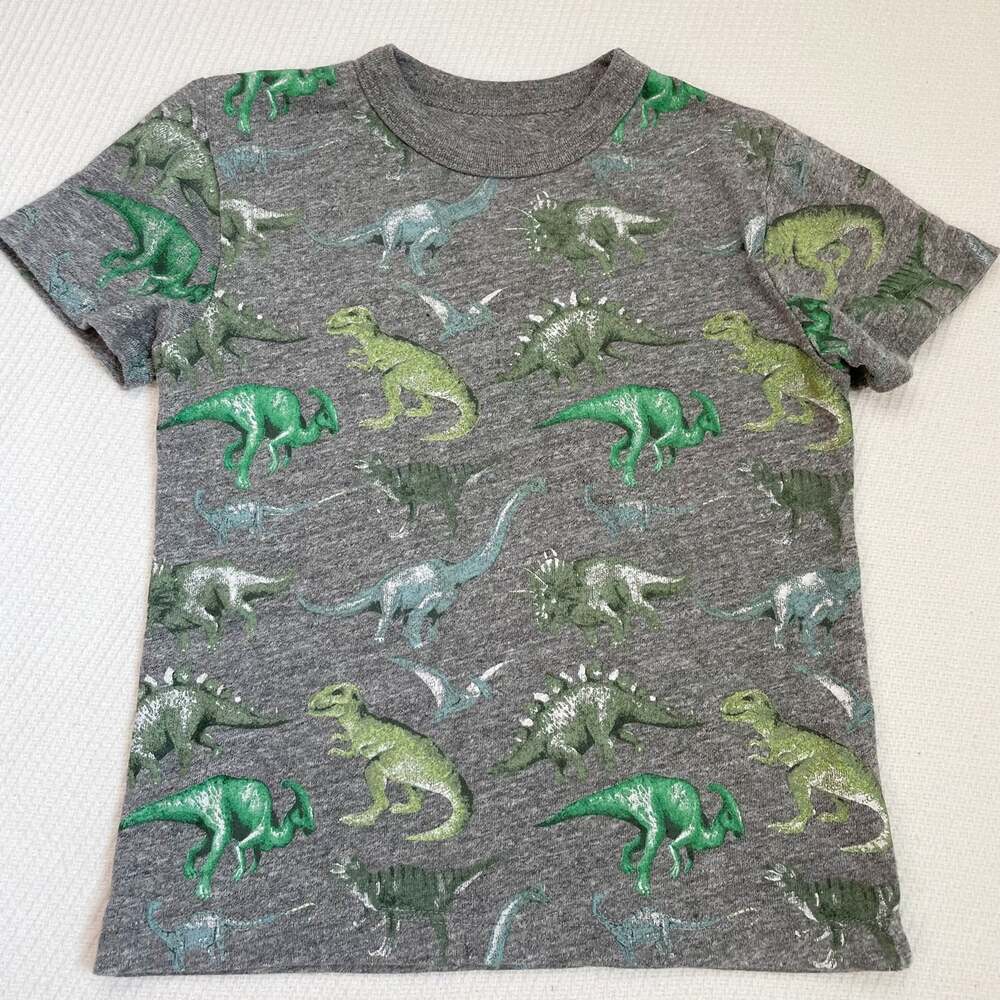 Chaser boys dinosaur tee size 5